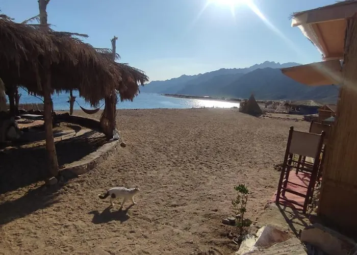 Makany Makanak Camp Kamp alanı